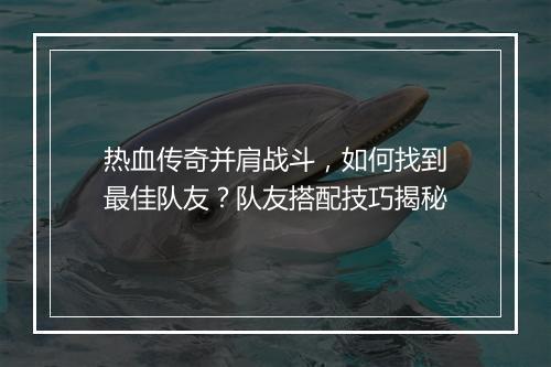 热血传奇并肩战斗，如何找到最佳队友？队友搭配技巧揭秘