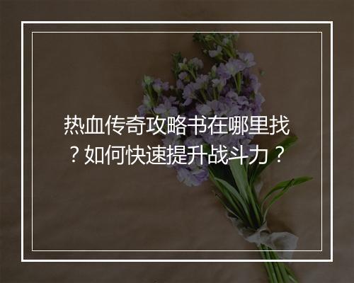 热血传奇攻略书在哪里找？如何快速提升战斗力？