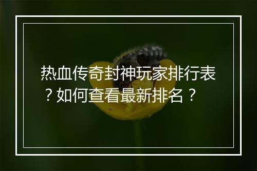 热血传奇封神玩家排行表？如何查看最新排名？