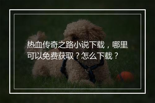 热血传奇之路小说下载，哪里可以免费获取？怎么下载？