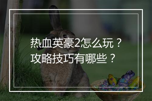 热血英豪2怎么玩？攻略技巧有哪些？