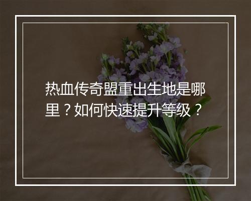 热血传奇盟重出生地是哪里？如何快速提升等级？