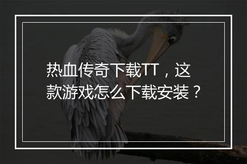 热血传奇下载TT，这款游戏怎么下载安装？