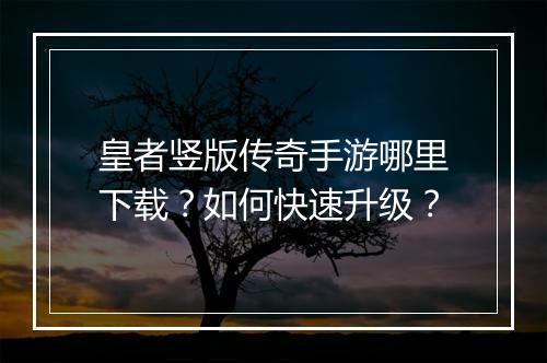 皇者竖版传奇手游哪里下载？如何快速升级？