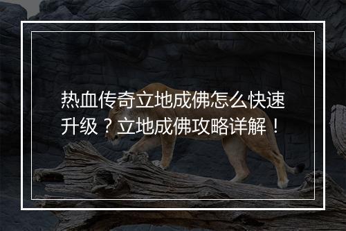 热血传奇立地成佛怎么快速升级？立地成佛攻略详解！