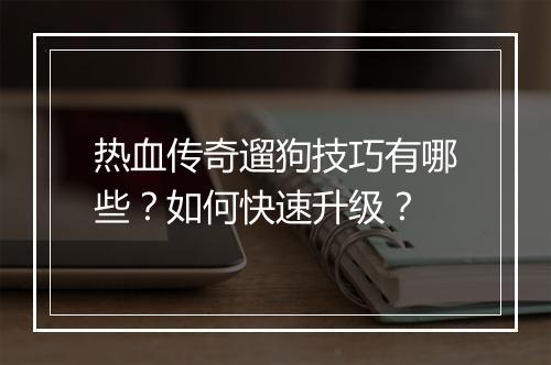 热血传奇遛狗技巧有哪些？如何快速升级？