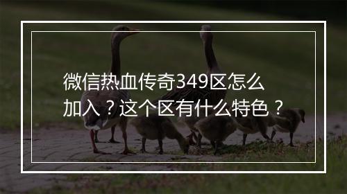 微信热血传奇349区怎么加入？这个区有什么特色？