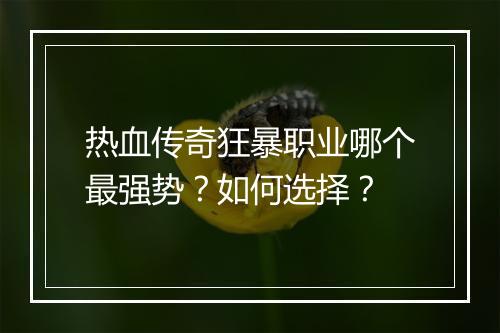 热血传奇狂暴职业哪个最强势？如何选择？