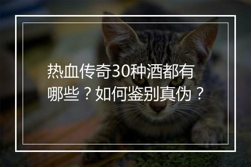 热血传奇30种酒都有哪些？如何鉴别真伪？