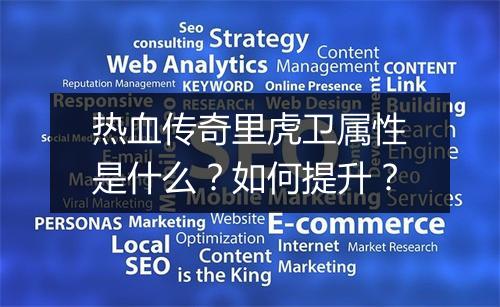 热血传奇里虎卫属性是什么？如何提升？