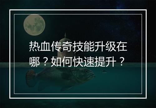 热血传奇技能升级在哪？如何快速提升？