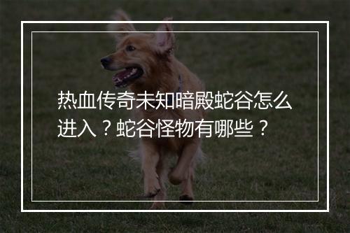 热血传奇未知暗殿蛇谷怎么进入？蛇谷怪物有哪些？