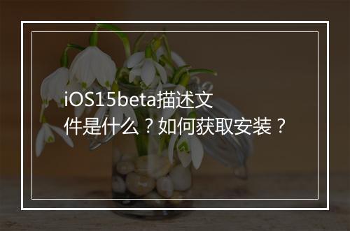 iOS15beta描述文件是什么？如何获取安装？