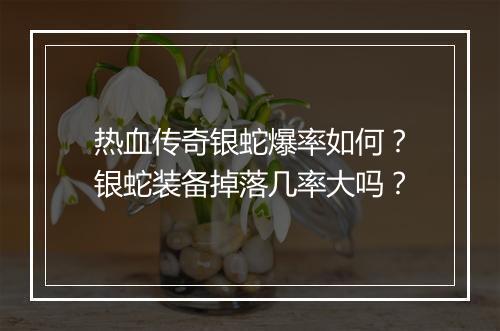 热血传奇银蛇爆率如何？银蛇装备掉落几率大吗？