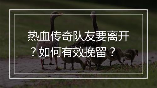 热血传奇队友要离开？如何有效挽留？