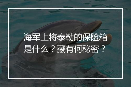 海军上将泰勒的保险箱是什么？藏有何秘密？