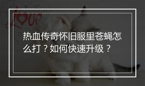 热血传奇怀旧服里苍蝇怎么打？如何快速升级？