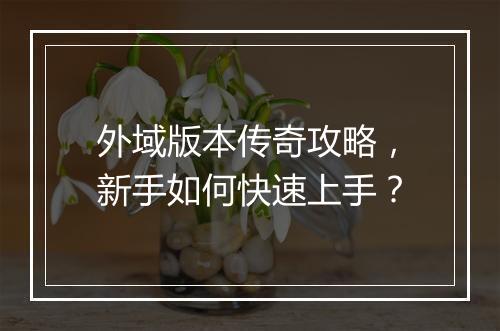 外域版本传奇攻略，新手如何快速上手？