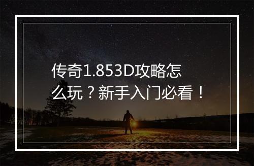 传奇1.853D攻略怎么玩？新手入门必看！