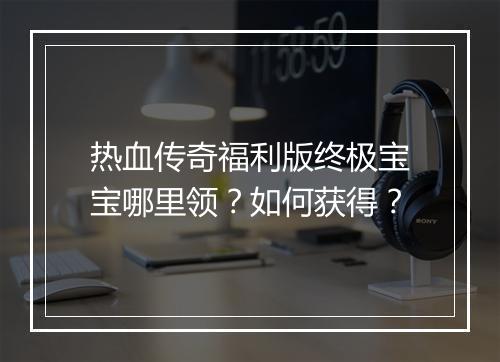 热血传奇福利版终极宝宝哪里领？如何获得？