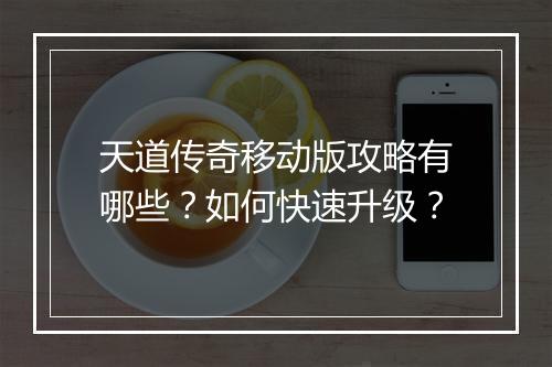 天道传奇移动版攻略有哪些？如何快速升级？