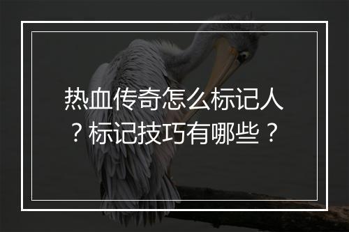热血传奇怎么标记人？标记技巧有哪些？