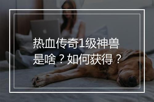 热血传奇1级神兽是啥？如何获得？