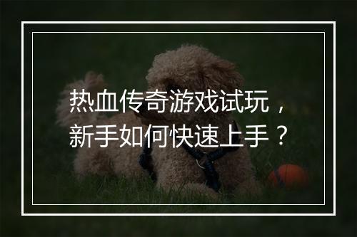 热血传奇游戏试玩，新手如何快速上手？