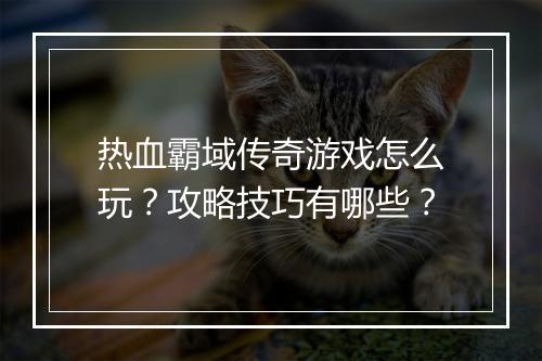 热血霸域传奇游戏怎么玩？攻略技巧有哪些？