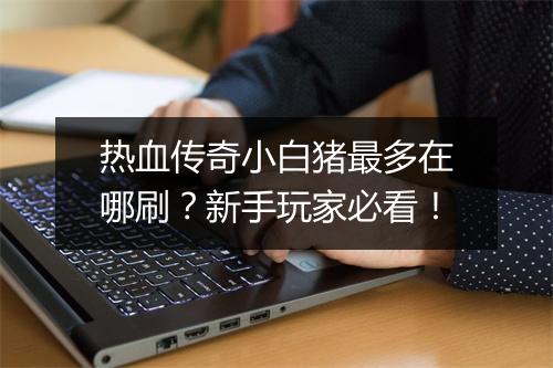 热血传奇小白猪最多在哪刷？新手玩家必看！