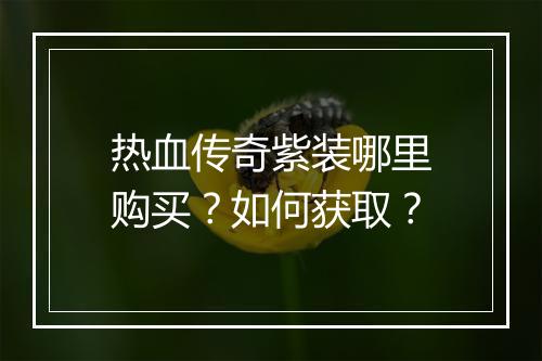 热血传奇紫装哪里购买？如何获取？