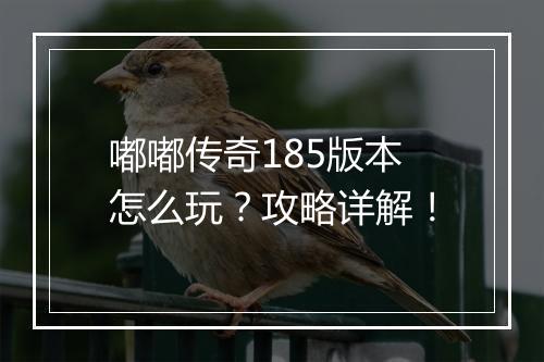 嘟嘟传奇185版本怎么玩？攻略详解！