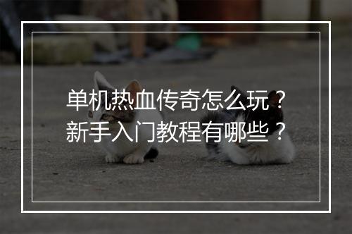 单机热血传奇怎么玩？新手入门教程有哪些？