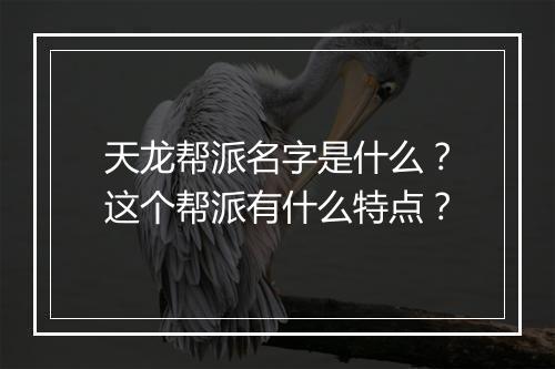 天龙帮派名字是什么？这个帮派有什么特点？
