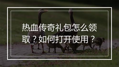 热血传奇礼包怎么领取？如何打开使用？