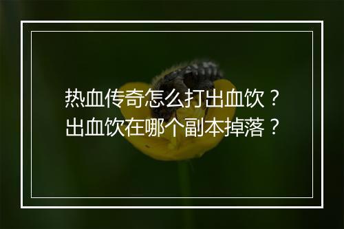 热血传奇怎么打出血饮？出血饮在哪个副本掉落？