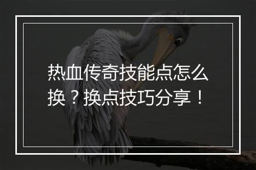 热血传奇技能点怎么换？换点技巧分享！