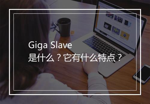 Giga Slave 是什么？它有什么特点？