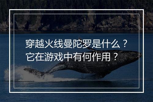 穿越火线曼陀罗是什么？它在游戏中有何作用？