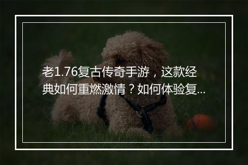 老1.76复古传奇手游，这款经典如何重燃激情？如何体验复古魅力？