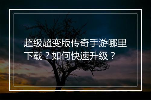 超级超变版传奇手游哪里下载?如何快速升级?