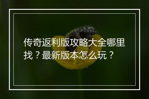 传奇返利版攻略大全哪里找？最新版本怎么玩？