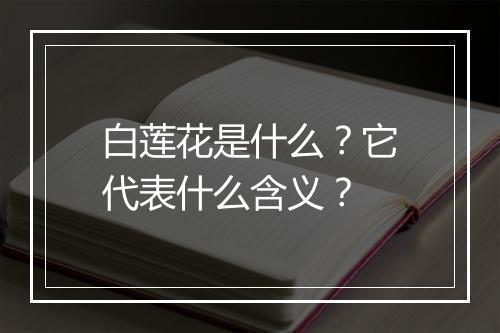 白莲花是什么？它代表什么含义？