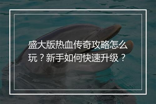 盛大版热血传奇攻略怎么玩？新手如何快速升级？