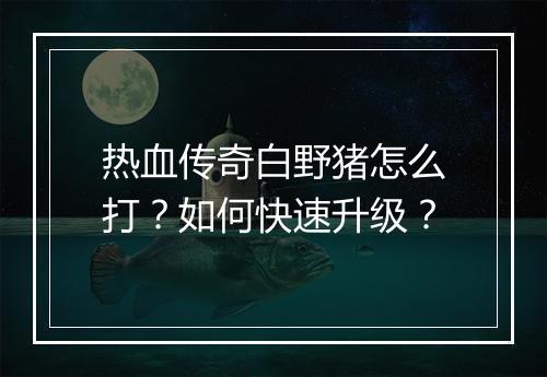热血传奇白野猪怎么打？如何快速升级？