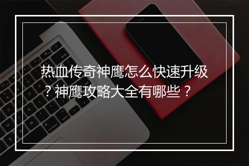热血传奇神鹰怎么快速升级？神鹰攻略大全有哪些？