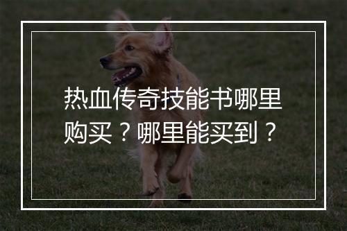 热血传奇技能书哪里购买？哪里能买到？