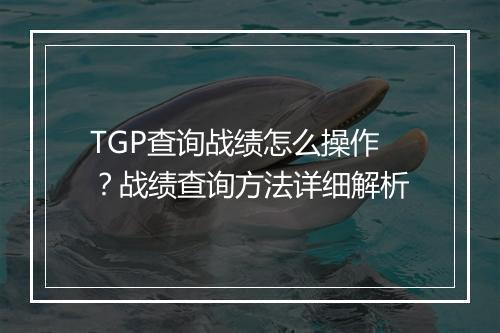 TGP查询战绩怎么操作？战绩查询方法详细解析