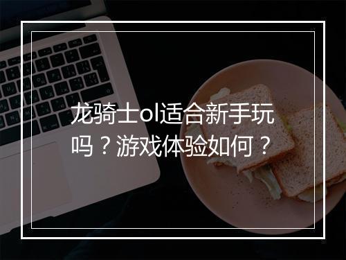 龙骑士ol适合新手玩吗？游戏体验如何？