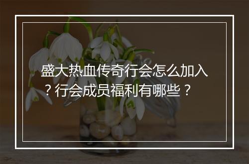 盛大热血传奇行会怎么加入？行会成员福利有哪些？